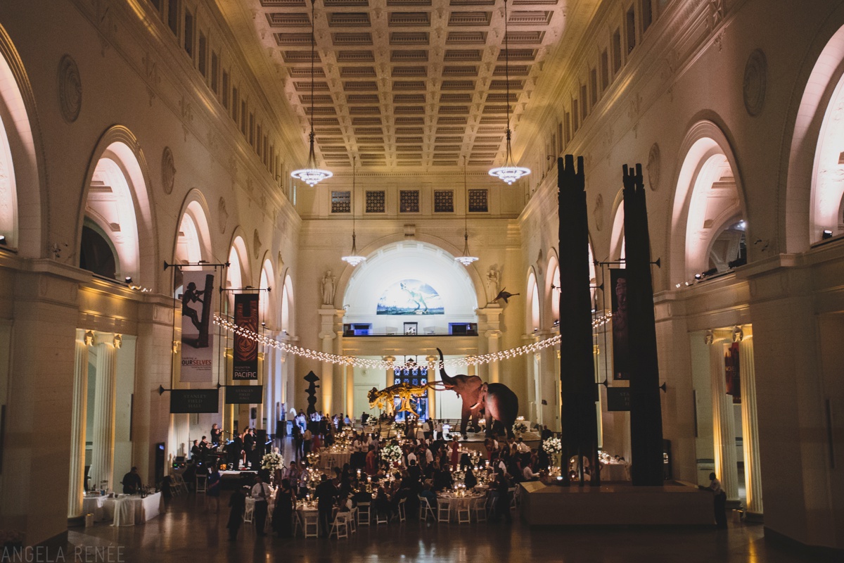  Chicago  Wedding  Photographer Chicago  Field Museum  Weddings 