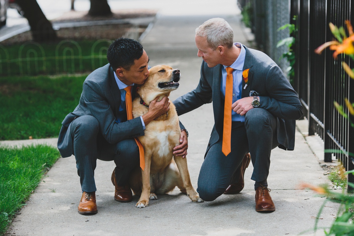 dog-wedding-day