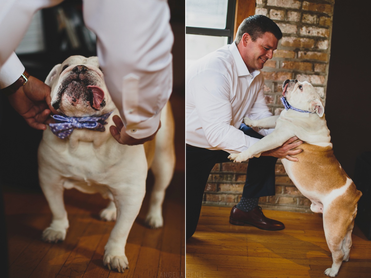 dog wedding bow tie