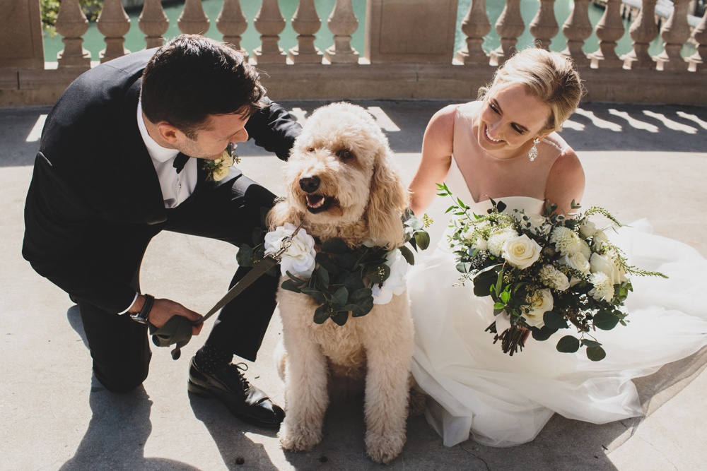 bride-and-groom-with-dog